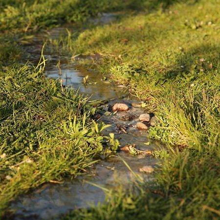 Grosse Wohnung / Haushaelfte In Peetzig Am See Angermunde Ngoại thất bức ảnh