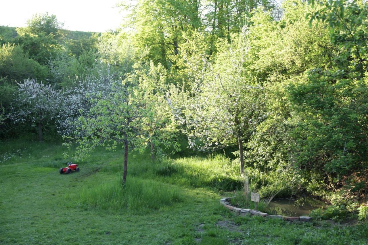 Grosse Wohnung / Haushaelfte In Peetzig Am See Angermunde Ngoại thất bức ảnh