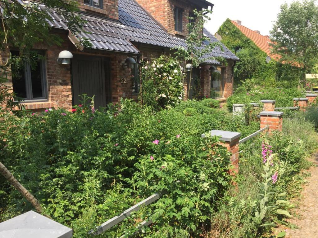 Grosse Wohnung / Haushaelfte In Peetzig Am See Angermunde Ngoại thất bức ảnh